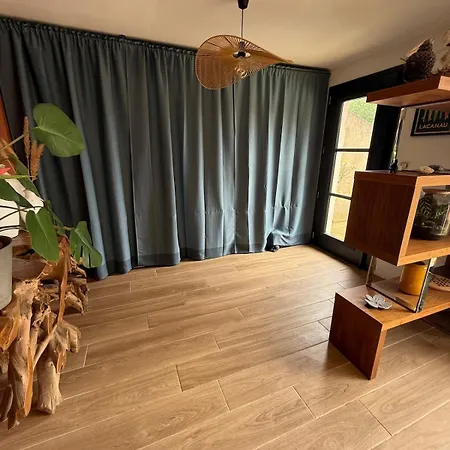 Maisons Proche De L'océan Avec Piscine Lacanau